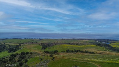 Nestled along the captivating Gaviota Coast of Santa Barbara on Sandpiper Golf Course in California - for sale on GolfHomes.com, golf home, golf lot