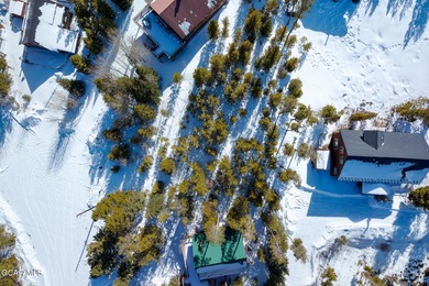 Build your dream mountain retreat in the highly sought-after on Grand Lake Golf Course in Colorado - for sale on GolfHomes.com, golf home, golf lot