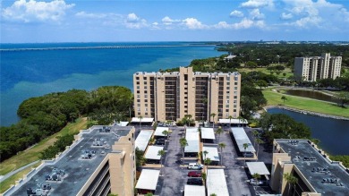 WOW! You will be astounded by the Gorgeous Views of Tampa Bay on Cove Cay Country Club in Florida - for sale on GolfHomes.com, golf home, golf lot