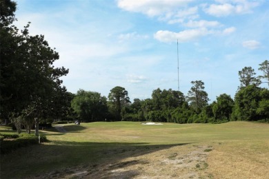 WELCOME to 340 Hampton Hills Ct, a one-of-a-kind pool home on DeBary Golf and Country Club in Florida - for sale on GolfHomes.com, golf home, golf lot