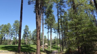 Desirable lot in Chaparral Pines located on the 14th fairway but on The Golf Club At Chaparral Pines in Arizona - for sale on GolfHomes.com, golf home, golf lot