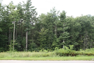 HUGE PRICE REDUCTION!! TAKE A LOOK!! Lots 30, 31 and 32 total 8 on Pipestem Golf Club - Regulation in West Virginia - for sale on GolfHomes.com, golf home, golf lot