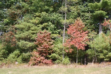 HUGE PRICE REDUCTION!! TAKE A LOOK!! Lots 30, 31 and 32 total 8 on Pipestem Golf Club - Regulation in West Virginia - for sale on GolfHomes.com, golf home, golf lot