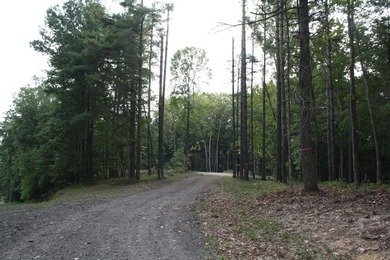 Lot 44 - 3.12 Acres Located in Pipestem Pointe. Pipestem Pointe on Pipestem Golf Club - Regulation in West Virginia - for sale on GolfHomes.com, golf home, golf lot