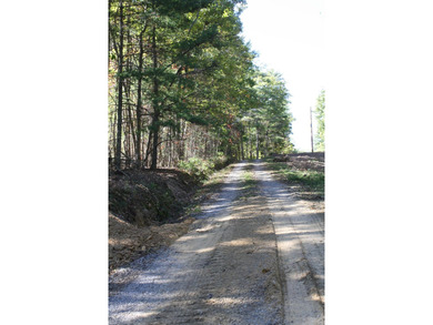 Lot 44 - 3.12 Acres Located in Pipestem Pointe. Pipestem Pointe on Pipestem Golf Club - Regulation in West Virginia - for sale on GolfHomes.com, golf home, golf lot