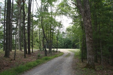 Lot 44 - 3.12 Acres Located in Pipestem Pointe. Pipestem Pointe on Pipestem Golf Club - Regulation in West Virginia - for sale on GolfHomes.com, golf home, golf lot