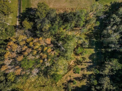 Sunset of Lansbrook is one of the most sought after on Lansbrook Golf Club in Florida - for sale on GolfHomes.com, golf home, golf lot