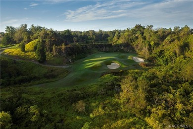 New construction spec home anticipated Fall/Winter 2026 in the on Black Diamond Ranch Golf Course in Florida - for sale on GolfHomes.com, golf home, golf lot