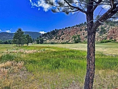 Suzy Woodward, Team Murphy Realty, C: , suzy,  : Beautiful Home on Rio Grande Golf Club in Colorado - for sale on GolfHomes.com, golf home, golf lot