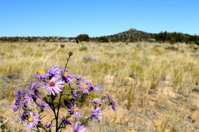 Ready to build 6/10 acre homesite in Black Diamond Park gated on Walsenburg Golf Club in Colorado - for sale on GolfHomes.com, golf home, golf lot