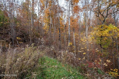 This .73 acre lot nestled within the coveted Cobbly Knob on Bent Creek Golf Course in Tennessee - for sale on GolfHomes.com, golf home, golf lot