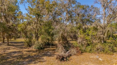 Welcome to your own slice of Lowcountry paradise! Nestled in the on Sapelo Hammock Golf Club in Georgia - for sale on GolfHomes.com, golf home, golf lot