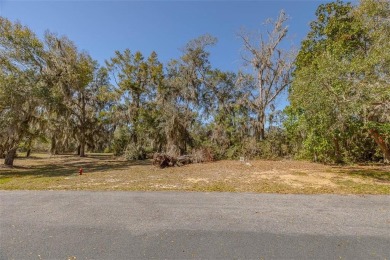 Welcome to your own slice of Lowcountry paradise! Nestled in the on Sapelo Hammock Golf Club in Georgia - for sale on GolfHomes.com, golf home, golf lot