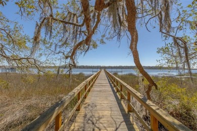 Welcome to your own slice of Lowcountry paradise! Nestled in the on Sapelo Hammock Golf Club in Georgia - for sale on GolfHomes.com, golf home, golf lot