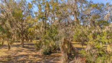 Welcome to your own slice of Lowcountry paradise! Nestled in the on Sapelo Hammock Golf Club in Georgia - for sale on GolfHomes.com, golf home, golf lot