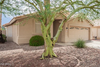 Charming and immaculately maintained home in one of the best on Coyote Lakes Golf Club in Arizona - for sale on GolfHomes.com, golf home, golf lot