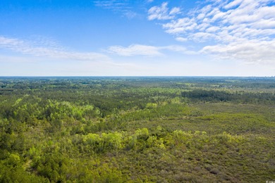 Unlock the potential of this expansive 193-acre property located on Crown Park Golf Club in South Carolina - for sale on GolfHomes.com, golf home, golf lot