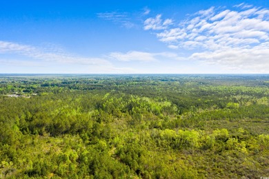 Unlock the potential of this expansive 193-acre property located on Crown Park Golf Club in South Carolina - for sale on GolfHomes.com, golf home, golf lot