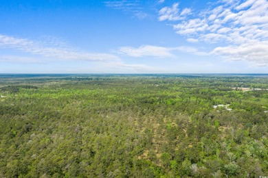 Unlock the potential of this expansive 193-acre property located on Crown Park Golf Club in South Carolina - for sale on GolfHomes.com, golf home, golf lot