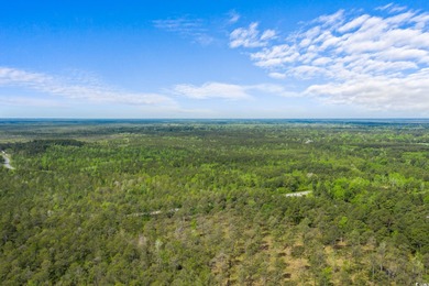 Unlock the potential of this expansive 193-acre property located on Crown Park Golf Club in South Carolina - for sale on GolfHomes.com, golf home, golf lot