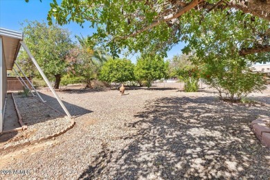 60K BELOW appraisal PLUS 1.75% lender credit towards closing on Sun City Riverview Golf Course in Arizona - for sale on GolfHomes.com, golf home, golf lot