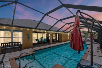 Your Private Tropical Oasis with Pool, Spa, Tiki Hut & Extra Lot on Del Tura Golf and Country Club in Florida - for sale on GolfHomes.com, golf home, golf lot