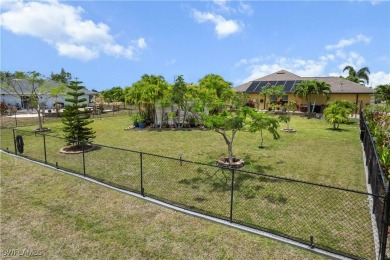 Your Private Tropical Oasis with Pool, Spa, Tiki Hut & Extra Lot on Del Tura Golf and Country Club in Florida - for sale on GolfHomes.com, golf home, golf lot