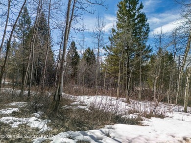 Positioned on a prime corner lot just north of the Aspen Hills on Star Valley RV Golf Course in Wyoming - for sale on GolfHomes.com, golf home, golf lot