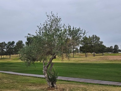 Experience the beauty of the 18-hole Golf Course at Viewpoint on Viewpoint Golf Resort in Arizona - for sale on GolfHomes.com, golf home, golf lot