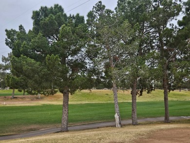 Experience the beauty of the 18-hole Golf Course at Viewpoint on Viewpoint Golf Resort in Arizona - for sale on GolfHomes.com, golf home, golf lot