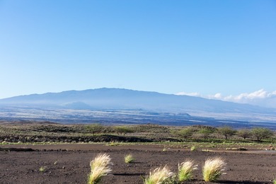 Perched at the crown of the Mauna Kea Resort, Hapuna Estates is on Hapuna Golf Course in Hawaii - for sale on GolfHomes.com, golf home, golf lot