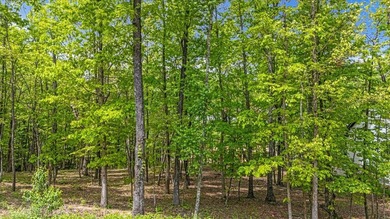 Build Your Dream Home in Black Creek Discover the perfect on Black Creek Club in Tennessee - for sale on GolfHomes.com, golf home, golf lot