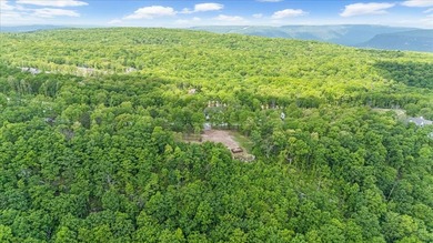 Build Your Dream Home in Black Creek Discover the perfect on Black Creek Club in Tennessee - for sale on GolfHomes.com, golf home, golf lot