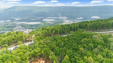 Build Your Dream Home in Black Creek Discover the perfect on Black Creek Club in Tennessee - for sale on GolfHomes.com, golf home, golf lot