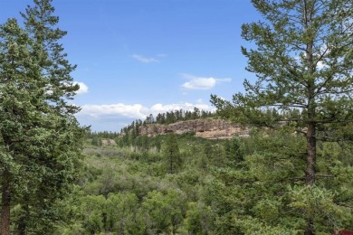 Brian Willemin, RE/MAX Pinnacle, C: , brian,  : Tamarron Unit on The Glacier Club in Colorado - for sale on GolfHomes.com, golf home, golf lot