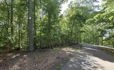 Beechwood West on Smith Mountain Lake VA.  on Sycamore Ridge Golf Club in Virginia - for sale on GolfHomes.com, golf home, golf lot