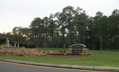 Amazing Vacant Lot in Citrus Springs!
Discover this beautiful on Citrus Springs Country Club in Florida - for sale on GolfHomes.com, golf home, golf lot
