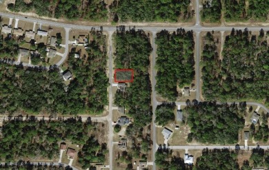 Amazing Vacant Lot in Citrus Springs!
Discover this beautiful on Citrus Springs Country Club in Florida - for sale on GolfHomes.com, golf home, golf lot