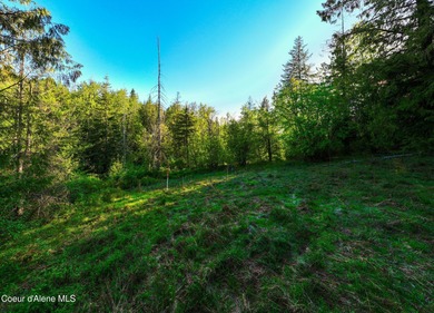 Discover Lot F10-an exceptional 0.9-acre opportunity in the on The Idaho Club in Idaho - for sale on GolfHomes.com, golf home, golf lot