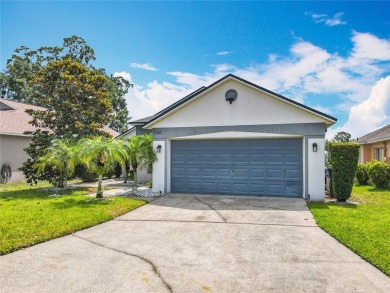 Turnkey 3 Bed, 2 Bath Mickey Mouse-Themed Pool Home in Ridgewood on Ridgewood Lakes Golf and Country Club in Florida - for sale on GolfHomes.com, golf home, golf lot