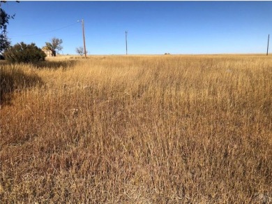 Fantastic large view lot for you to build your next investment on Hollydot Golf Course in Colorado - for sale on GolfHomes.com, golf home, golf lot