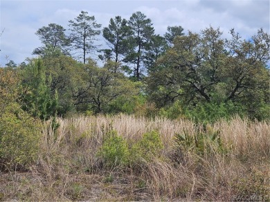 Here is a beautiful building lot 0.60 of an acre in Citrus on Pine Ridge Community Golf and Country Club in Florida - for sale on GolfHomes.com, golf home, golf lot