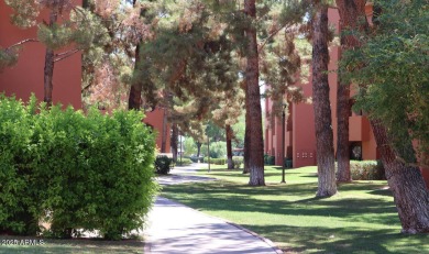 Priced to Sell! Beautifully maintained first-floor condo in on Stonecreek Golf Club in Arizona - for sale on GolfHomes.com, golf home, golf lot