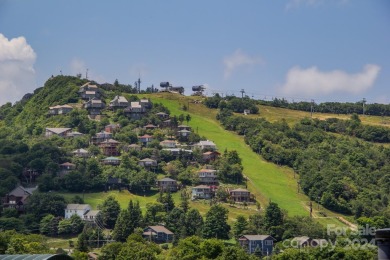 *SKIP THE STRESS & HASSLE OF RENOVATING* RARE FIND...OPEN FLOOR on Beech Mountain Club in North Carolina - for sale on GolfHomes.com, golf home, golf lot