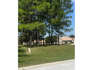 Unique opportunity to build on one of the last remaining lots in on Skyview At Terra Vista Golf and Country Club in Florida - for sale on GolfHomes.com, golf home, golf lot