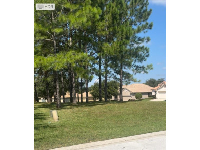 Unique opportunity to build on one of the last remaining lots in on Skyview At Terra Vista Golf and Country Club in Florida - for sale on GolfHomes.com, golf home, golf lot