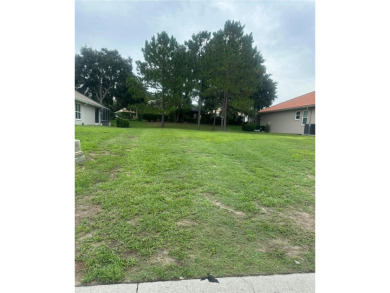 Unique opportunity to build on one of the last remaining lots in on Skyview At Terra Vista Golf and Country Club in Florida - for sale on GolfHomes.com, golf home, golf lot