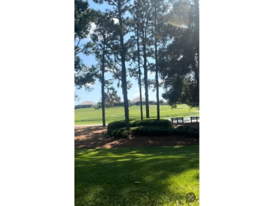 Unique opportunity to build on one of the last remaining lots in on Skyview At Terra Vista Golf and Country Club in Florida - for sale on GolfHomes.com, golf home, golf lot