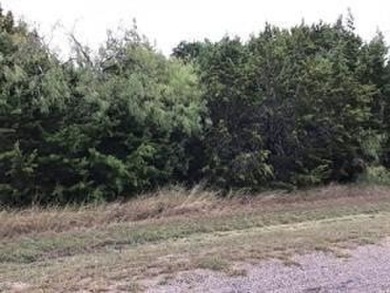 Rare find on Cedar Creek. This lot nestled amongst oaks and on White Bluff Resort - New Course in Texas - for sale on GolfHomes.com, golf home, golf lot