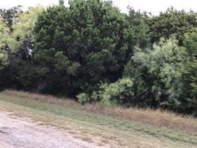 Rare find on Cedar Creek. This lot nestled amongst oaks and on White Bluff Resort - New Course in Texas - for sale on GolfHomes.com, golf home, golf lot